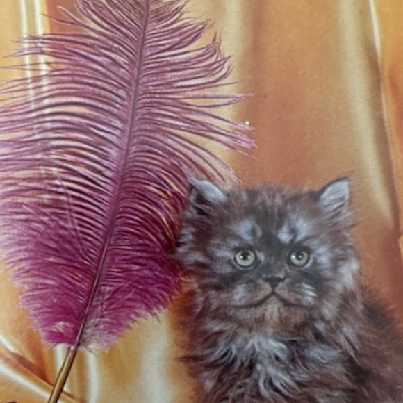 1980's Movie Star Nylon and Chiffon Peignoir Set - Picture 12 of 12